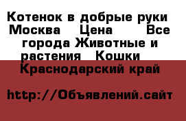 Котенок в добрые руки. Москва. › Цена ­ 5 - Все города Животные и растения » Кошки   . Краснодарский край